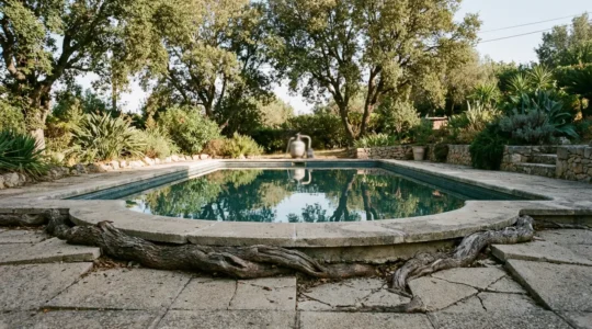 Raíces de árbol invadiendo los cimientos de una piscina de jardín, mostrando grietas en el hormigón